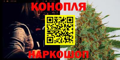 spice Севастополь